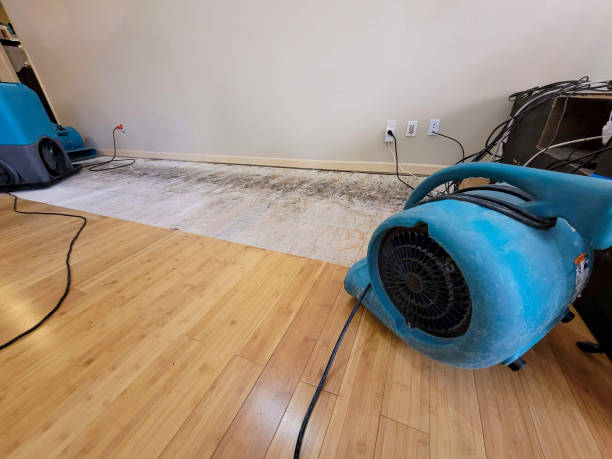 Professional Water Extraction technician working in Fairfield, CT
